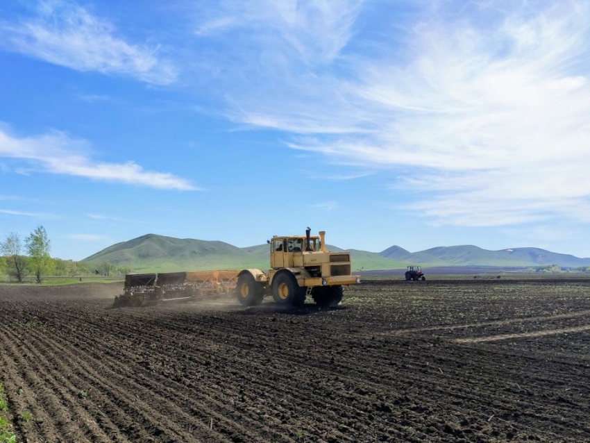 ​Хозяйства Забайкалья приступили к севу кормовых культур